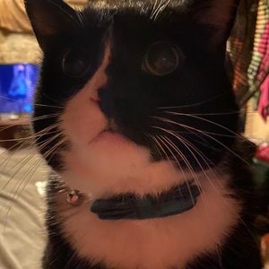 Meet your Posher, Anna